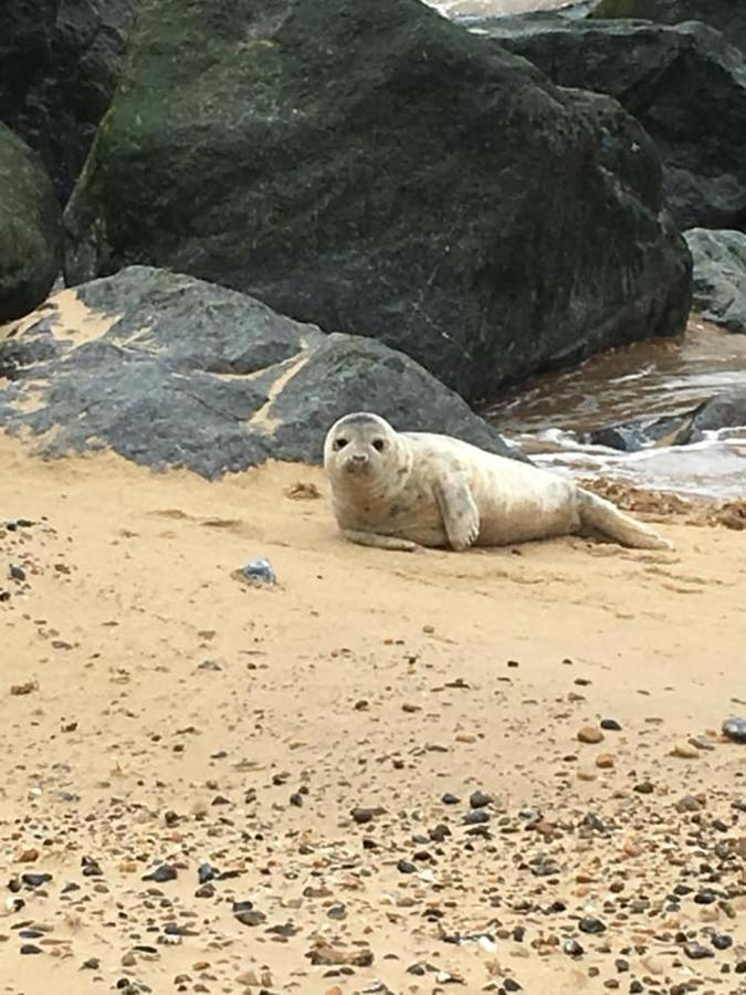 Villa Coastal Terrace Dogs Welcome Optional Hot Tub Sea Palling Exterior foto