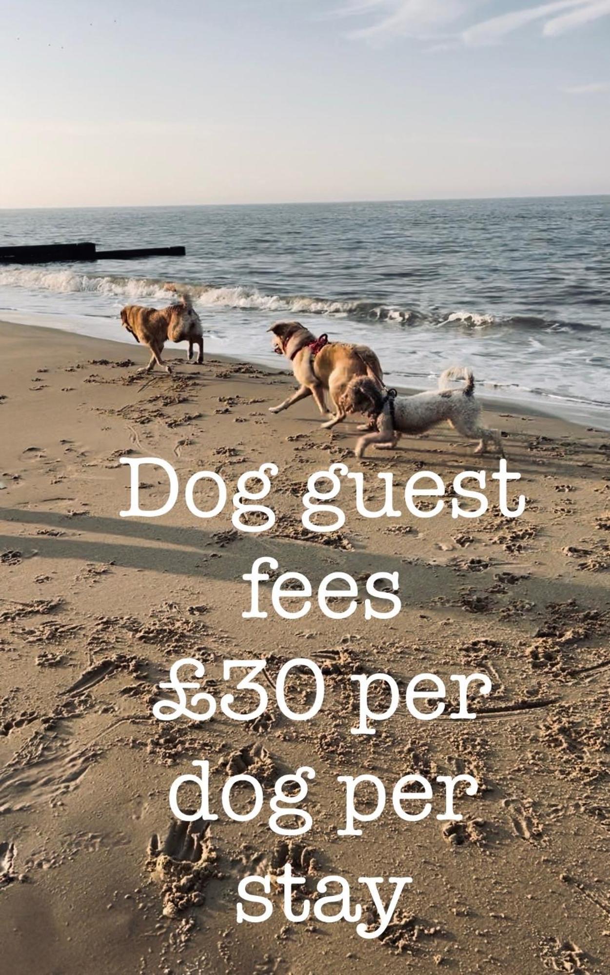 Villa Coastal Terrace Dogs Welcome Optional Hot Tub Sea Palling Exterior foto